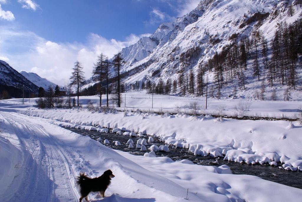 Albergo Boule De Neige Rhêmes-Notre-Dame Cameră foto
